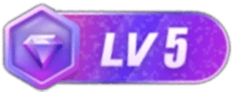 等级-LV5-韬哥副业项目资源网