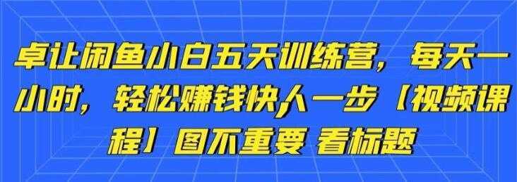 卓让《闲鱼项目小白五天训练营》每天一小时，轻松赚钱快人一步-韬哥副业项目资源网