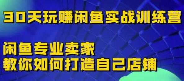 《30天玩赚闲鱼实战训练营》闲鱼专业卖家教你如何打造自己店铺-韬哥副业项目资源网