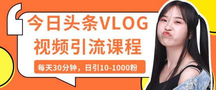 今日头条VLOG视频引流技术，每天30分钟，日引10-1000粉-韬哥副业项目资源网