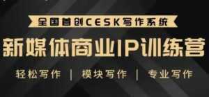 自媒体运营培训课程，新媒体商业IP训练营，轻松写作赚钱-韬哥副业项目资源网