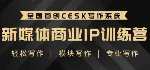 自媒体运营培训课程，新媒体商业IP训练营，轻松写作赚钱-韬哥副业项目资源网