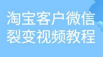 《淘宝客户微信裂变》培训课程视频教程-韬哥副业项目资源网