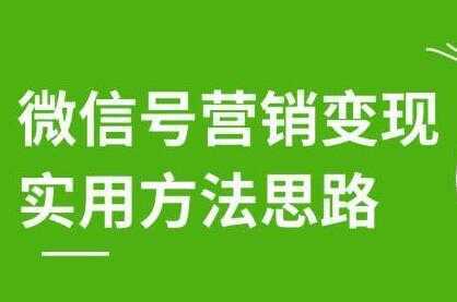 徐悦佳《微信号营销变现实用方法思路》朋友圈刷屏裂变方法-韬哥副业项目资源网