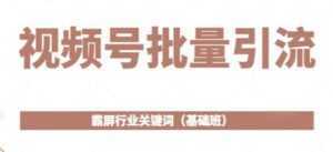 《视频号批量引流》霸屏行业关键词玩法(基础班)-韬哥副业项目资源网