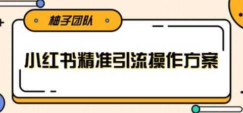 小红书精准引流操作方案，能够直接落地实操引流技术-韬哥副业项目资源网