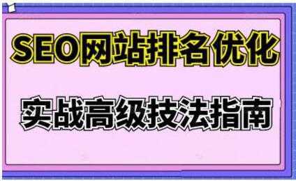 樊天华《SEO网站排名优化》实战高级技法指南-韬哥副业项目资源网