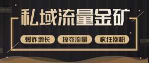 价值2200元私域流量的金矿，循环获取各大媒体精准流量，无限复制网红的精准流量！-韬哥副业项目资源网