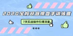 2020宝妈获客操盘手训练营:7天实战操作引爆 母婴、都市、购物宝妈流量-韬哥副业项目资源网