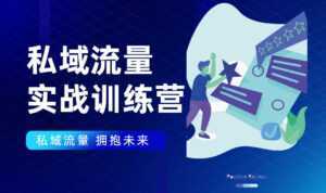 私域流量实战营:7天收获属于您的私域流量池,给你总结出可复制的套路-韬哥副业项目资源网