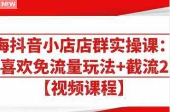 大海抖音小店店群实操课：猜你喜欢免流量玩法+截流 2.0-韬哥副业项目资源网