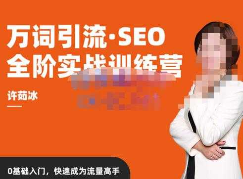 许茹冰·万词引流-SEO全阶实战训练营，0基础入门，快速成为流量高手-韬哥副业项目资源网