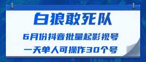 白狼敢死队最新抖音短视频批量起影视号(一天单人可操作30个号)视频课程-韬哥副业项目资源网