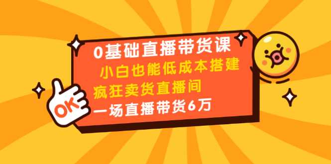 0基础直播带货课：小白也能低成本搭建疯狂卖货直播间：1场直播带货6万-韬哥副业项目资源网