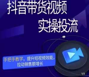 彬彬很靠谱·抖音带货视频实操投流,手把手教学,提升短视频效能,拉动销售额增长-韬哥副业项目资源网