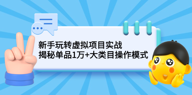 （2144期）新手玩转虚拟项目实战，揭秘单品1万+大类目操作模式【视频课程】-韬哥副业项目资源网