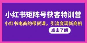 （8909期）小红书-矩阵号获客特训营-第10期，小红书电商的带货课，引流变现新商机-韬哥副业项目资源网