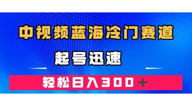 (7449期)中视频蓝海冷门赛道,韩国视频奇闻解说,起号迅速,日入300+-韬哥副业项目资源网