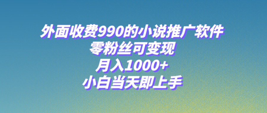 （8016期）小说推广软件，零粉丝可变现，月入1000+，小白当天即上手【附189G素材】-韬哥副业项目资源网