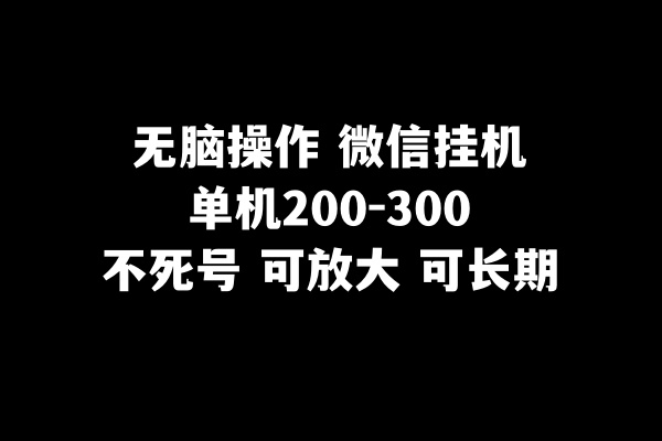 没脑子实际操作微信挂机单机版200-300一天，不死号，可变大-暖阳网-优质付费教程和创业项目大全-韬哥副业项目资源网