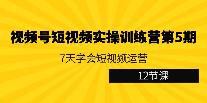 （9029期）微信视频号小视频实操训练营第5期：7天懂得自媒体运营（12堂课）-韬哥副业项目资源网