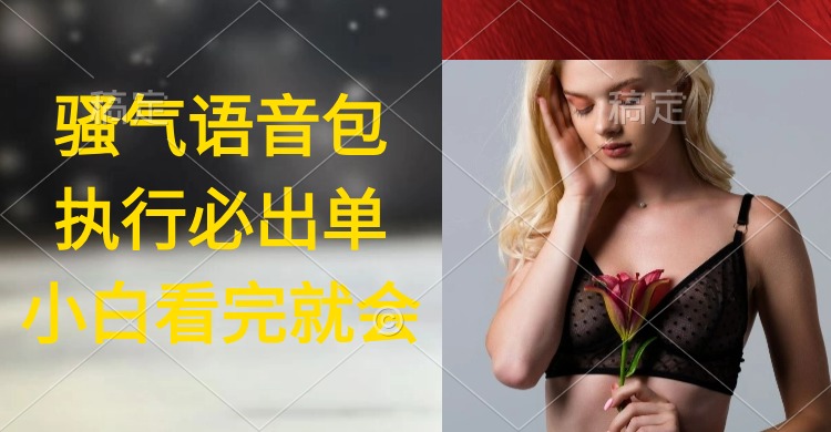 （9589期）实行就有单，日入2000 ，爆红骚性语音库，新手看了课程内容就能立刻实际操作-韬哥副业项目资源网