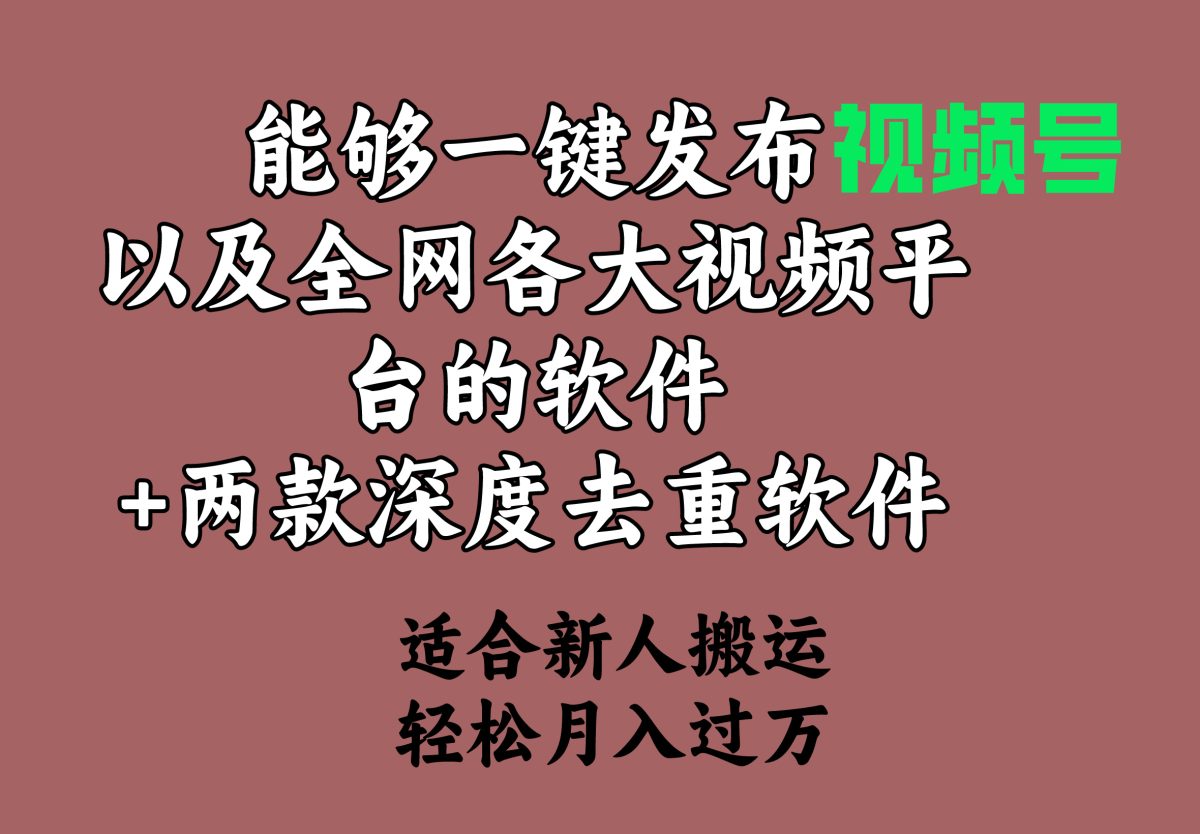 （9319期）可以一键发布微信视频号及其各大网站各种视频平台的手机软件 2款深层去重复手机软件 适宜…-韬哥副业项目资源网