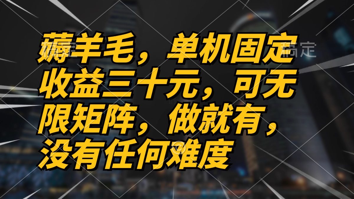 （13162期）薅羊毛项目，单机三十元，做就有，可无限矩阵 无任何难度-韬哥副业项目资源网