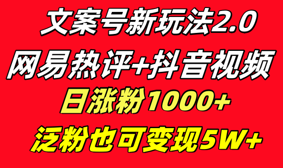 （8484期）创意文案号新模式 网易热评 抖音视频文案 一天增粉1000  多种多样变现方式 泛粉也可变现-韬哥副业项目资源网