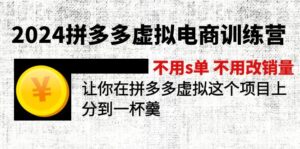 （12024期）2024拼多多虚拟电商训练营 不s单 不改销量  做虚拟项目分一杯羹(更新10节)-韬哥副业项目资源网