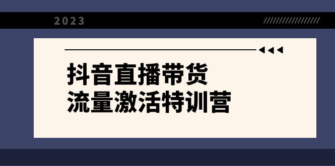 （8185期）抖音直播带货-流量激活特训营，入行新手小白主播必学（21节课+资料）-暖阳网-优质付费教程和创业项目大全-韬哥副业项目资源网