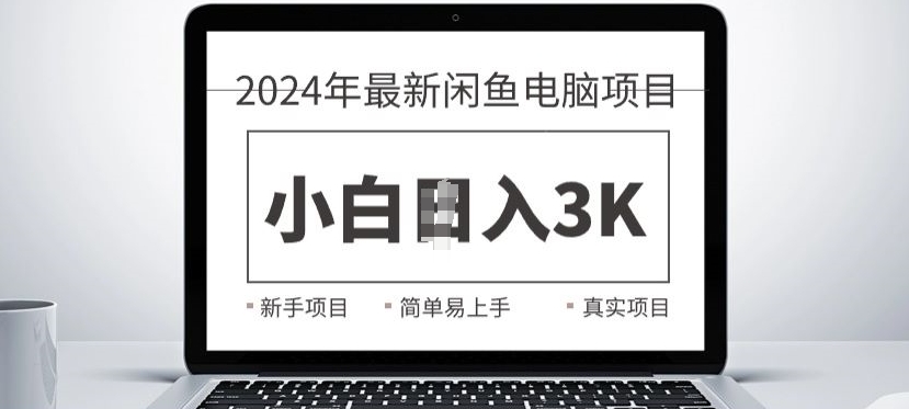 2024全新闲鱼电脑新项目，出手就可以吃肉的好项目-韬哥副业项目资源网