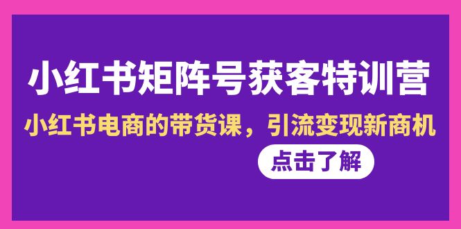（8909期）小红书的-矩阵账号拓客夏令营-第10期，小红书电商的卖货课，引流变现商机-韬哥副业项目资源网