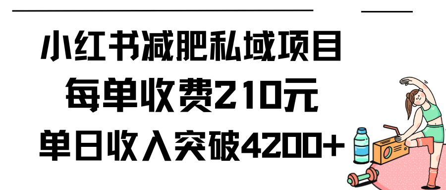 （9466期）小红书的减肥瘦身公域新项目每一单收费标准210元单日交易量20单，最大日入4200-韬哥副业项目资源网