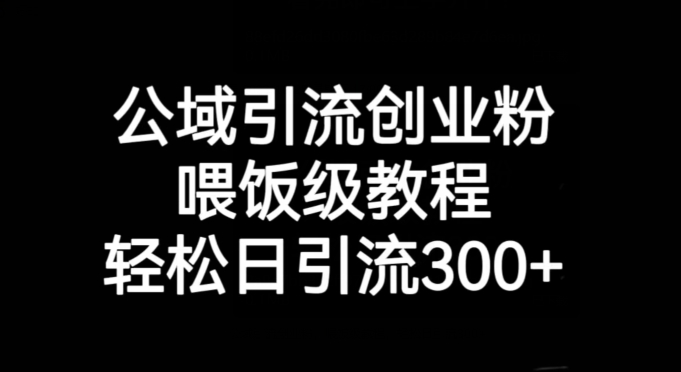公域流量引流方法自主创业粉，喂食级实例教程，轻轻松松日引流方法300 【揭密】-韬哥副业项目资源网