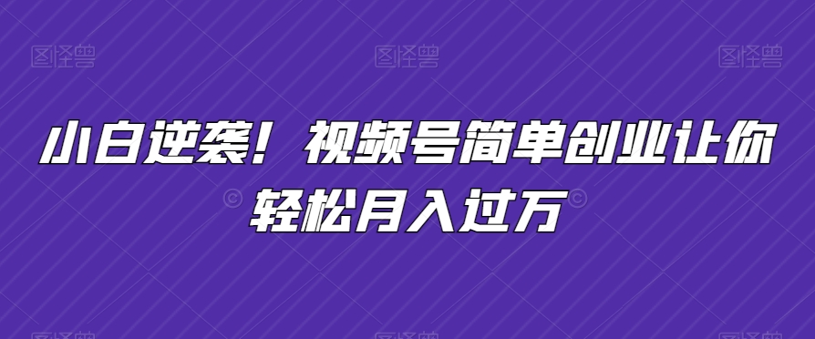 小白逆袭！视频号简单创业让你轻松月入过万-韬哥副业项目资源网