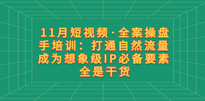 （8182期）11月短视频·全案操盘手培训：打通自然流量 成为想象级IP必备要素 全是干货-暖阳网-优质付费教程和创业项目大全-韬哥副业项目资源网