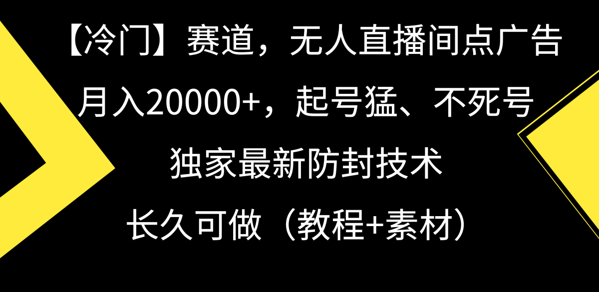 （9101期）【冷门】赛道，无人直播间点广告，月入20000+，起号猛、不死号，独家最…-韬哥副业项目资源网