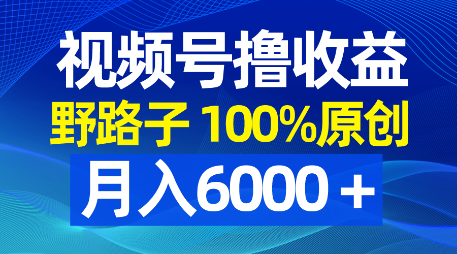 （8679期）微信视频号歪门邪道撸盈利，100%原创设计，一条条爆品，月收入6000＋-韬哥副业项目资源网