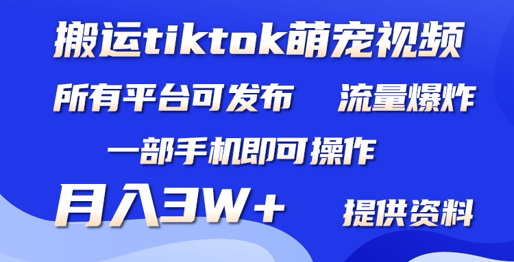 （9618期）运送Tiktok萌宝类视频，一部手机就可以。全部短视频app都可实际操作，月入3W-韬哥副业项目资源网