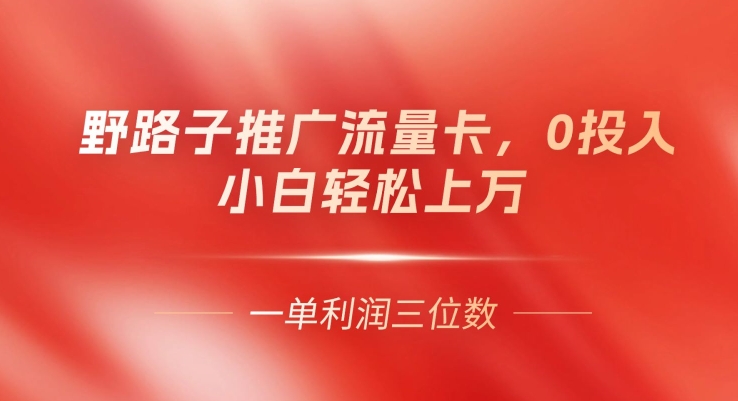 歪门邪道营销推广上网卡，一单利润几百，0资金投入，新手轻轻松松过万-韬哥副业项目资源网