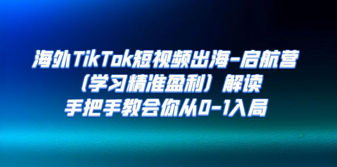 （7195期）国外TikTok小视频出航-起航营（学习培训精确赢利）讲解，手把手的教会大家从0-1进入-韬哥副业项目资源网