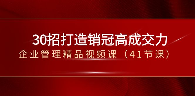 （8477期）30招-打造出销售冠军高成交力-企业经营管理在线精品视频课（41堂课）-韬哥副业项目资源网