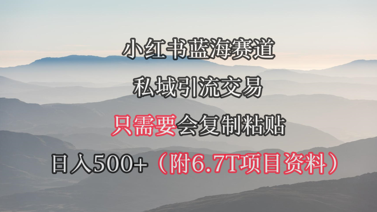 （9487期）小红书的短剧剧本跑道，私域引流买卖，会拷贝，日入500 （附6.7T短剧剧本网络资源）-韬哥副业项目资源网