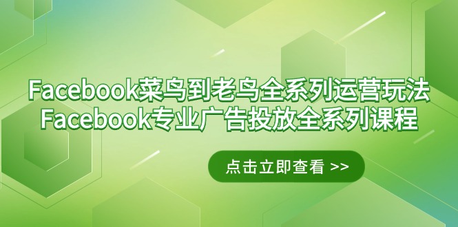（9065期）Facebook-小白到老手系列产品经营游戏玩法 Facebook-技术专业广告营销全主题课程-韬哥副业项目资源网