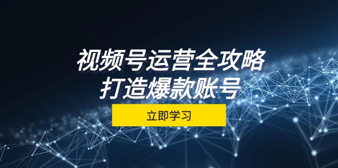 （12912期）视频号运营攻略大全，从查找到交易量一站式学习培训，微信视频号关键窍门，推出爆款…-韬哥副业项目资源网