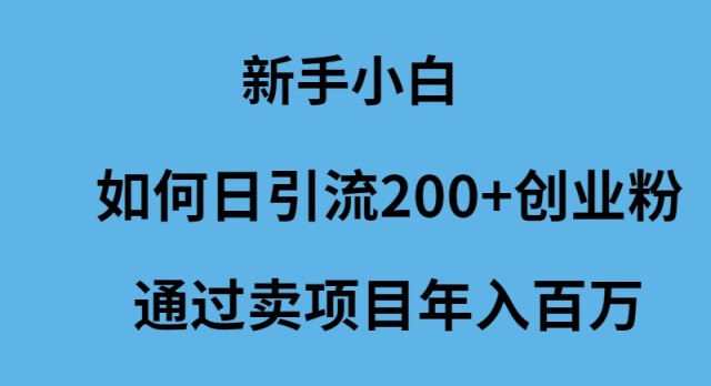 （9668期）新手小白如何日引流200+创业粉通过卖项目年入百万-韬哥副业项目资源网