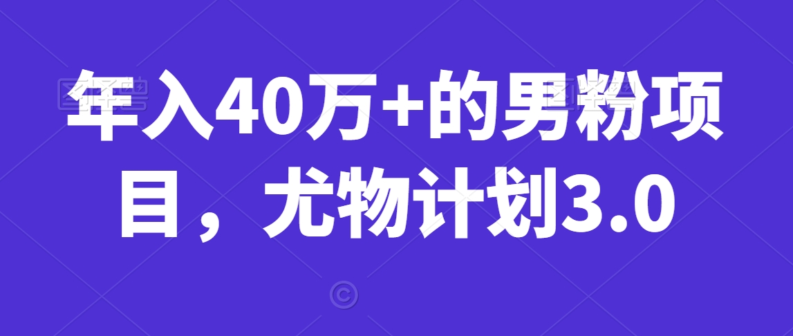 年入40万+的男粉项目，尤物计划3.0-韬哥副业项目资源网