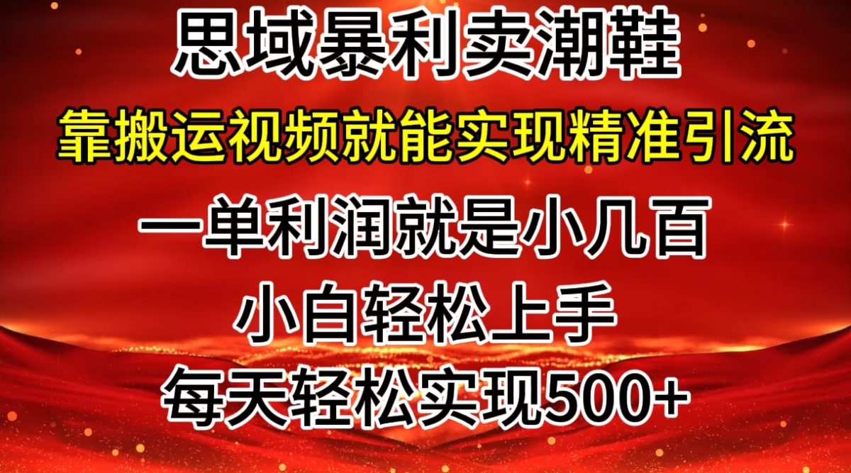 公域卖潮牌鞋子爆利游戏玩法，新手快速上手，日赚多张，轻松，只靠搬运视频就可精准引流方法-韬哥副业项目资源网