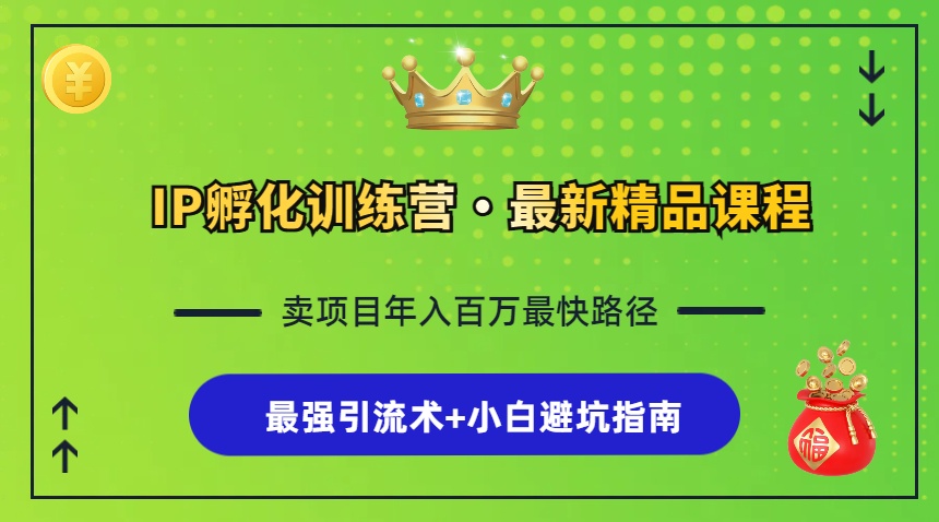 （13055期）IP卵化夏令营，社交电商全过程 最牛引流术 新手避坑指南-韬哥副业项目资源网